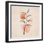 Zarif Cicekler 02-Emel Tunaboylu-Framed Giclee Print