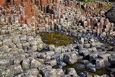 Giant’S Causeway-zastavkin-Stretched Canvas