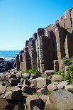 Giant's Causeway-zastavkin-Stretched Canvas