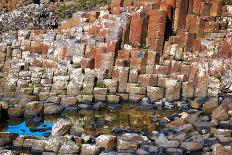 Giant’S Causeway-zastavkin-Stretched Canvas