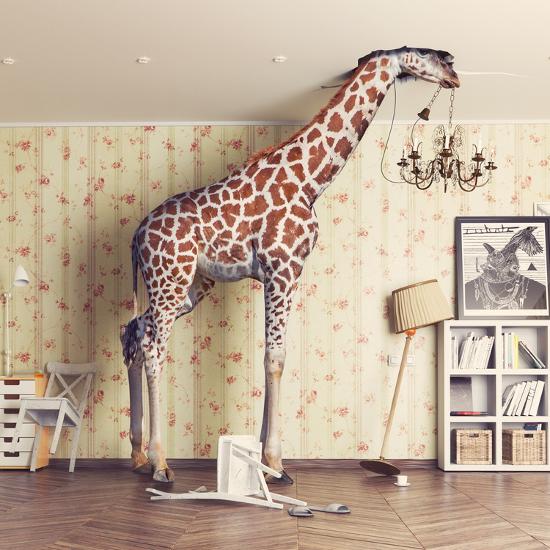 Photographic Print, , large