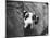 Zastur of Sudbury Peeking around Corner-null-Mounted Photographic Print