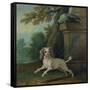 Zaza, the Dog, C.1730-Jean-Baptiste Oudry-Framed Stretched Canvas