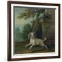 Zaza, the Dog, C.1730-Jean-Baptiste Oudry-Framed Giclee Print