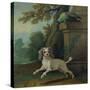 Zaza, the Dog, C.1730-Jean-Baptiste Oudry-Stretched Canvas