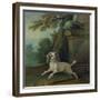 Zaza, the Dog, C.1730-Jean-Baptiste Oudry-Framed Giclee Print