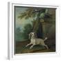 Zaza, the Dog, C.1730-Jean-Baptiste Oudry-Framed Giclee Print