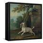 Zaza, the Dog, C.1730-Jean-Baptiste Oudry-Framed Stretched Canvas