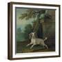 Zaza, the Dog, C.1730-Jean-Baptiste Oudry-Framed Giclee Print