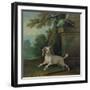 Zaza, the Dog, C.1730-Jean-Baptiste Oudry-Framed Giclee Print