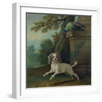 Zaza, the Dog, C.1730-Jean-Baptiste Oudry-Framed Giclee Print