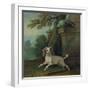 Zaza, the Dog, C.1730-Jean-Baptiste Oudry-Framed Giclee Print