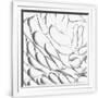Gramercy White