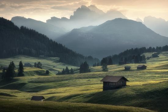 Photographic Print, , large