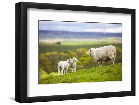 Photographic Print, , large