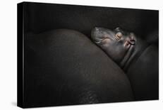 Dreamin'-Zdenek Vales-Framed Photographic Print