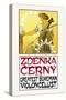 Zdenka Cerny: The Greatest Bohemian Violoncellist-Alphonse Mucha-Stretched Canvas