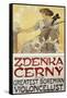 Zdneka cerny Archival-null-Framed Stretched Canvas