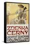 Zdneka cerny Archival-null-Framed Stretched Canvas