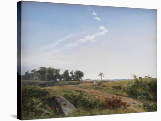 Zealand Landscape. Open Country in North Zealand, 1842-Johan Thomas Lundbye-Stretched Canvas