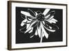 Zealous Bloom-Filippo Ioco-Framed Art Print