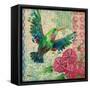 Zealous Hummingbird I-Paul Brent-Framed Stretched Canvas