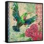 Zealous Hummingbird I-Paul Brent-Framed Stretched Canvas
