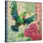 Zealous Hummingbird I-Paul Brent-Stretched Canvas