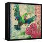 Zealous Hummingbird I-Paul Brent-Framed Stretched Canvas