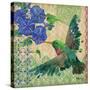Zealous Hummingbird II-Paul Brent-Stretched Canvas