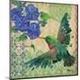 Zealous Hummingbird II-Paul Brent-Mounted Art Print