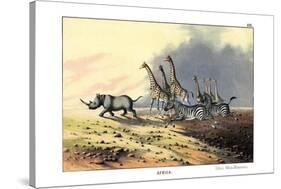 Zebra, 1860-null-Stretched Canvas