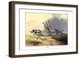 Zebra, 1860-null-Framed Giclee Print