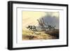 Zebra, 1860-null-Framed Giclee Print