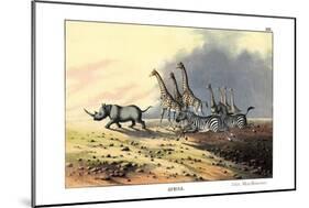 Zebra, 1860-null-Mounted Giclee Print