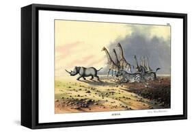 Zebra, 1860-null-Framed Stretched Canvas