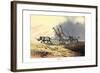 Zebra, 1860-null-Framed Giclee Print