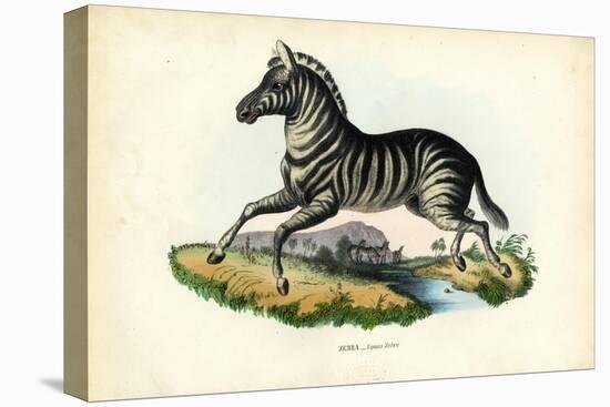 Zebra, 1863-79-Raimundo Petraroja-Stretched Canvas