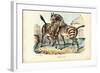 Zebra, 1863-79-Raimundo Petraroja-Framed Giclee Print