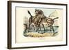 Zebra, 1863-79-Raimundo Petraroja-Framed Giclee Print