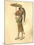 Zebra 1873 'Missing Links' Parade Costume Design-Charles Briton-Mounted Giclee Print