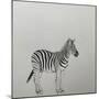 Zebra, 2018,-Ele Grafton-Mounted Giclee Print