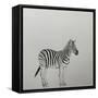 Zebra, 2018,-Ele Grafton-Framed Stretched Canvas