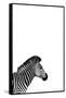 Zebra 2-Incado-Framed Stretched Canvas