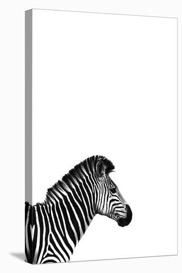 Zebra 2-Incado-Stretched Canvas