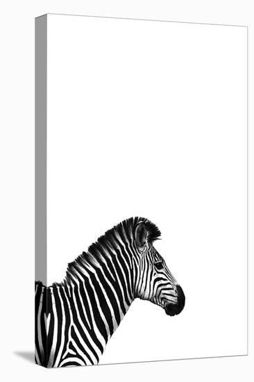 Zebra 2-Incado-Stretched Canvas