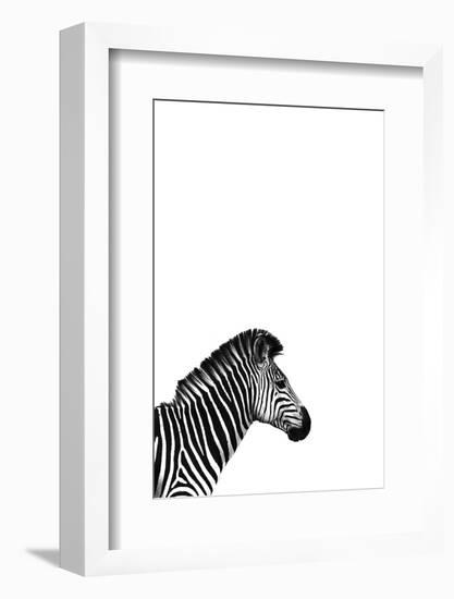 Zebra 2-Incado-Framed Photographic Print