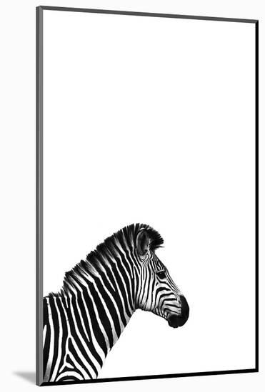 Zebra 2-Incado-Mounted Photographic Print