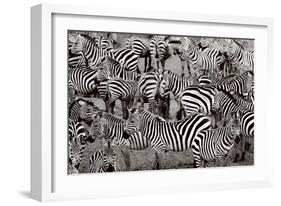 Zebra Abstraction-Jorge Llovet-Framed Premium Giclee Print