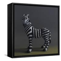 Zebra - After Stubbs, 2018,-Peter Jones-Framed Stretched Canvas